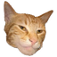gcat