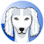 saluki